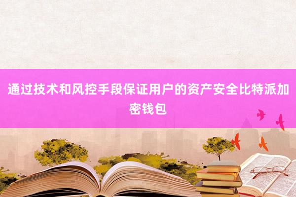 通过技术和风控手段保证用户的资产安全比特派加密钱包