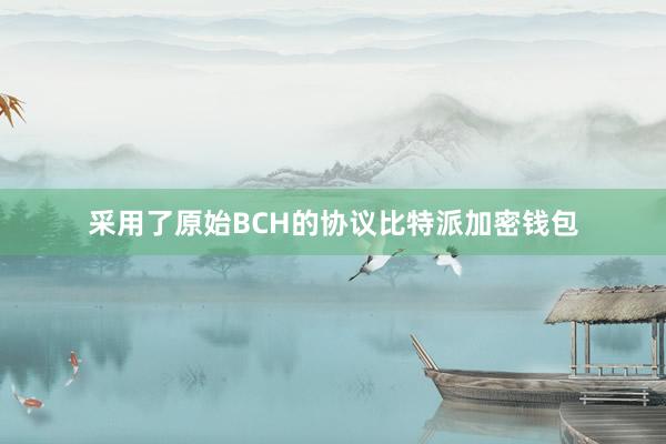 采用了原始BCH的协议比特派加密钱包