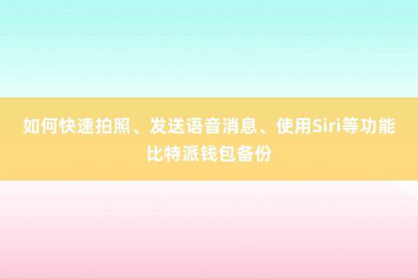 如何快速拍照、发送语音消息、使用Siri等功能比特派钱包备份