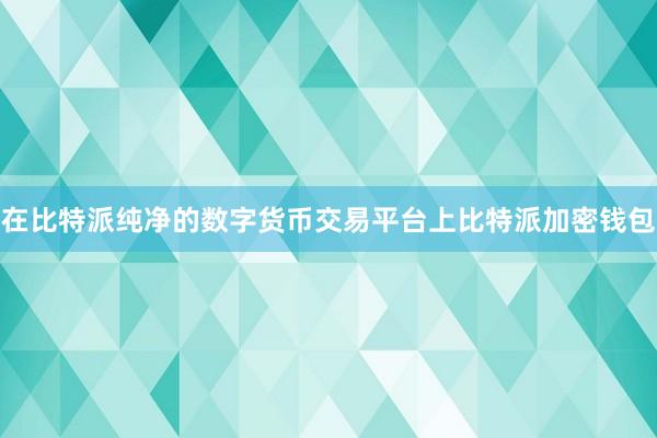 在比特派纯净的数字货币交易平台上比特派加密钱包