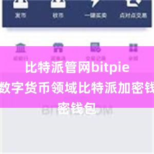 比特派管网bitpie在数字货币领域比特派加密钱包