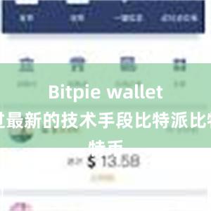 Bitpie wallet通过最新的技术手段比特派比特币